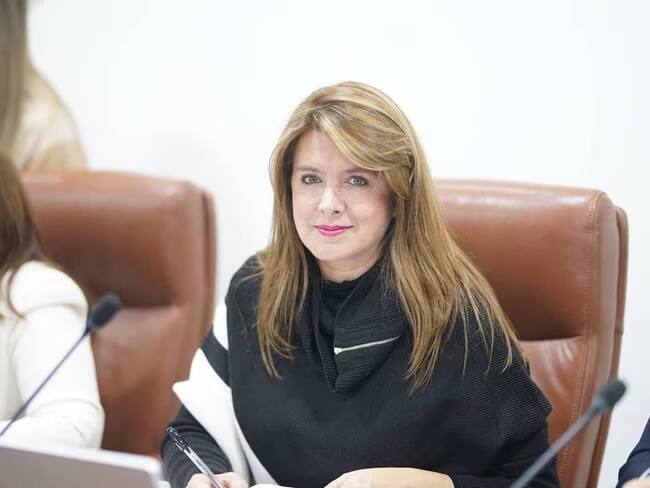 La congresista caldense, Juana Carolina Londoño, advirtió que el Gobierno Petro busca ponerle IVA del 19% a la venta de viviendas en el país